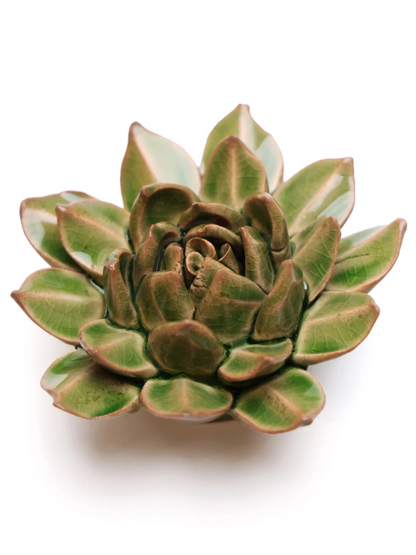 Ceramic Small Green Succulent - Echeveria - Sculpture from Ash & Rose