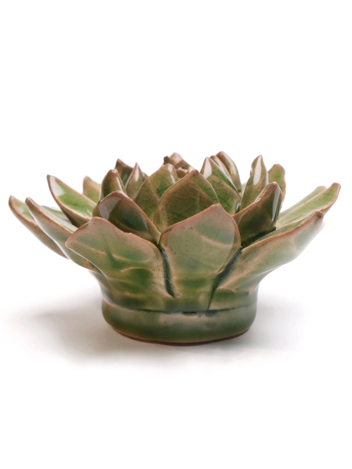 Ceramic Small Green Succulent - Echeveria - Sculpture from Ash & Rose