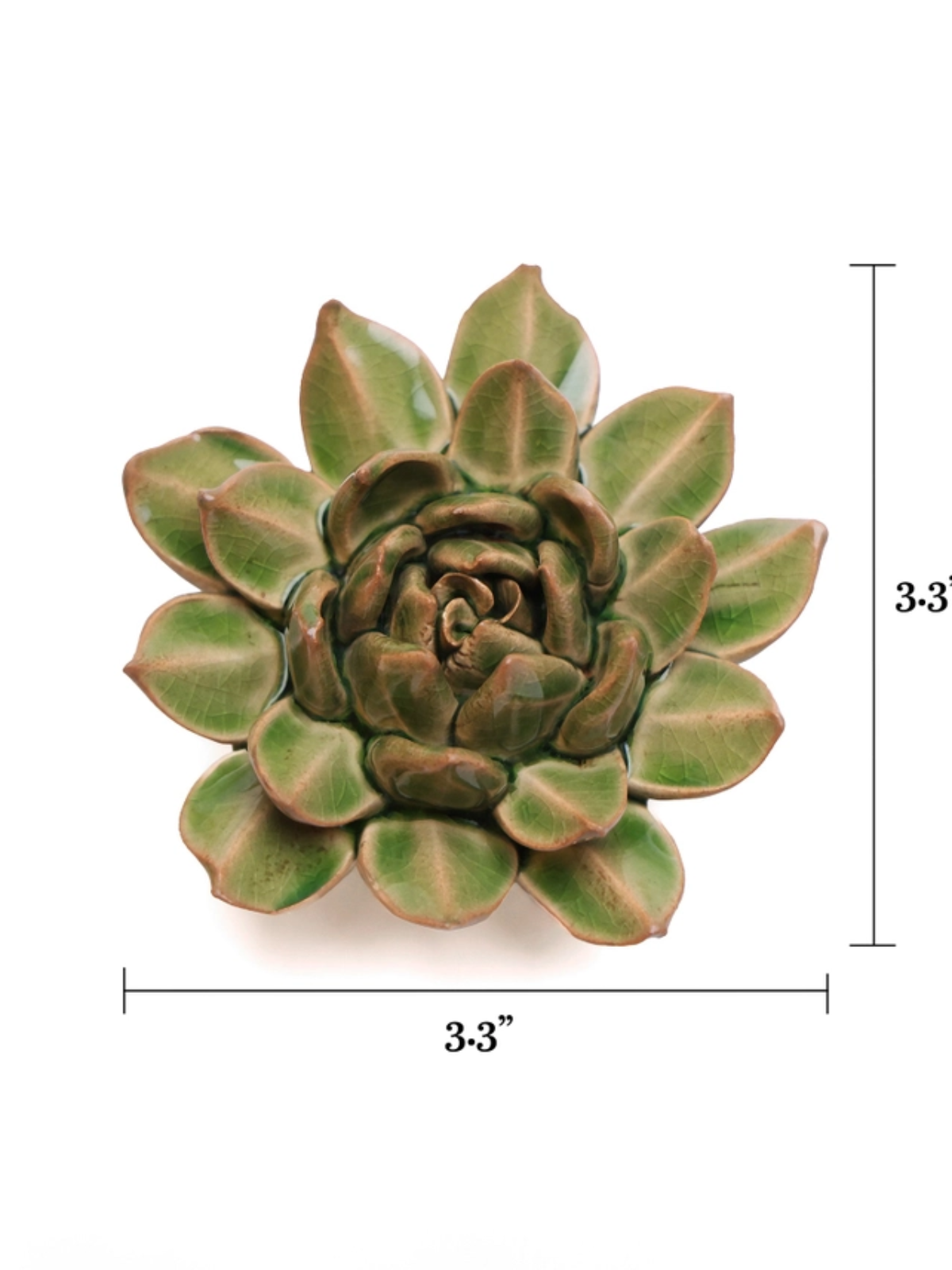 Ceramic Small Green Succulent - Echeveria - Sculpture from Ash & Rose