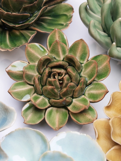 Ceramic Small Green Succulent - Echeveria - Sculpture from Ash & Rose