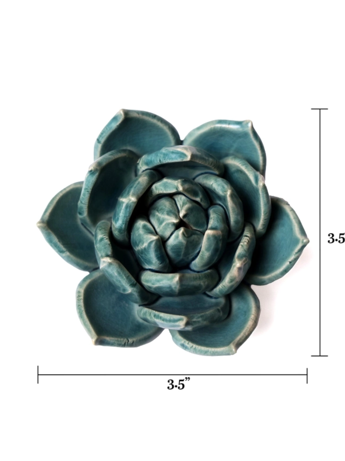 Ceramic Small Teal Succulent - Echeveria - Sculpture from Ash & Rose