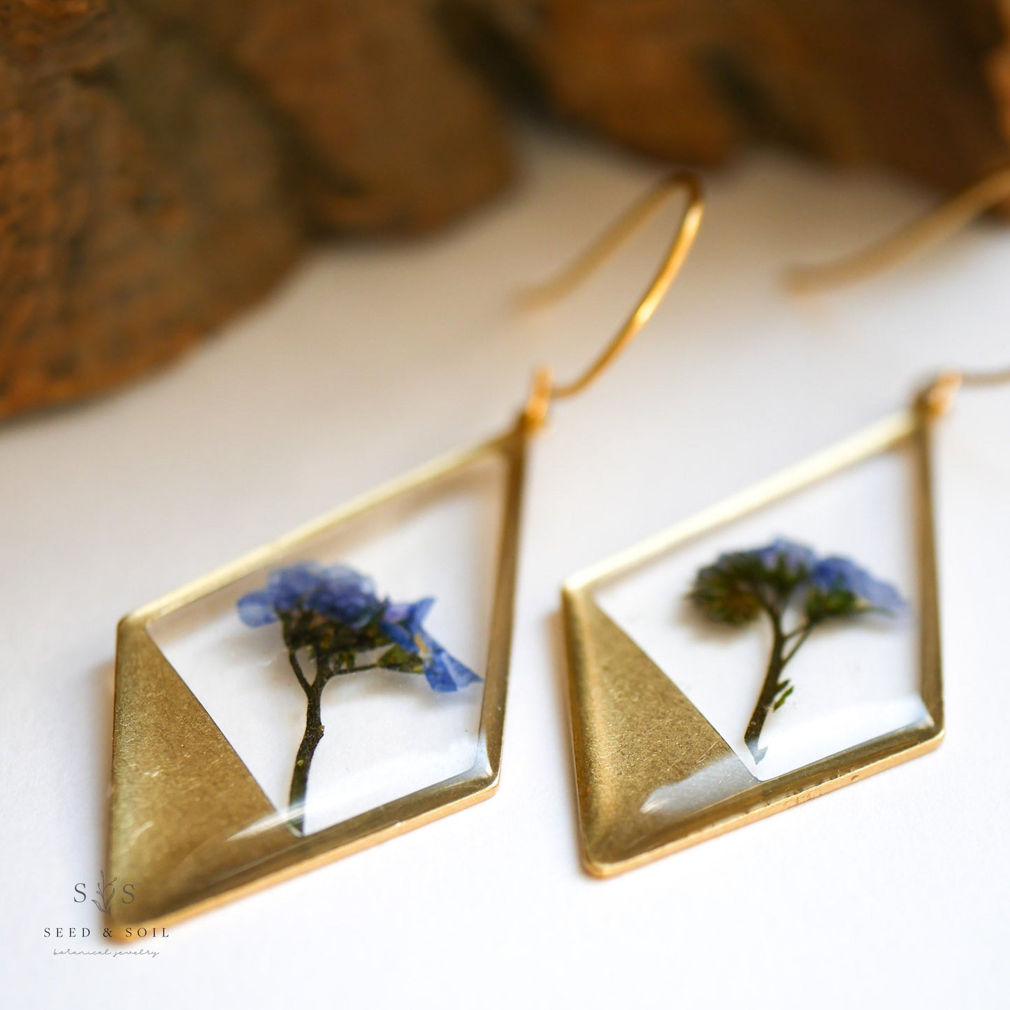 Hanging Terrarium Earrings - Earrings from Seed&SoilShop