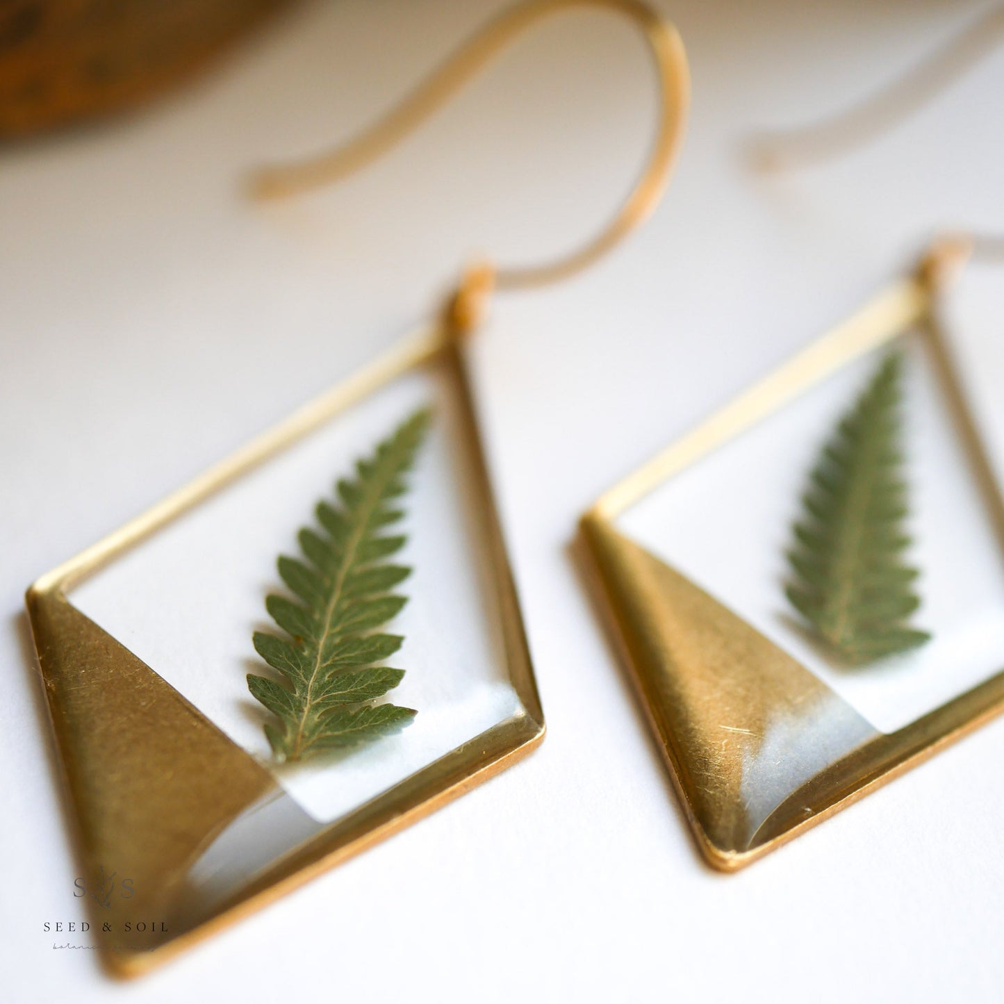 Hanging Terrarium Earrings - Earrings from Seed&SoilShop