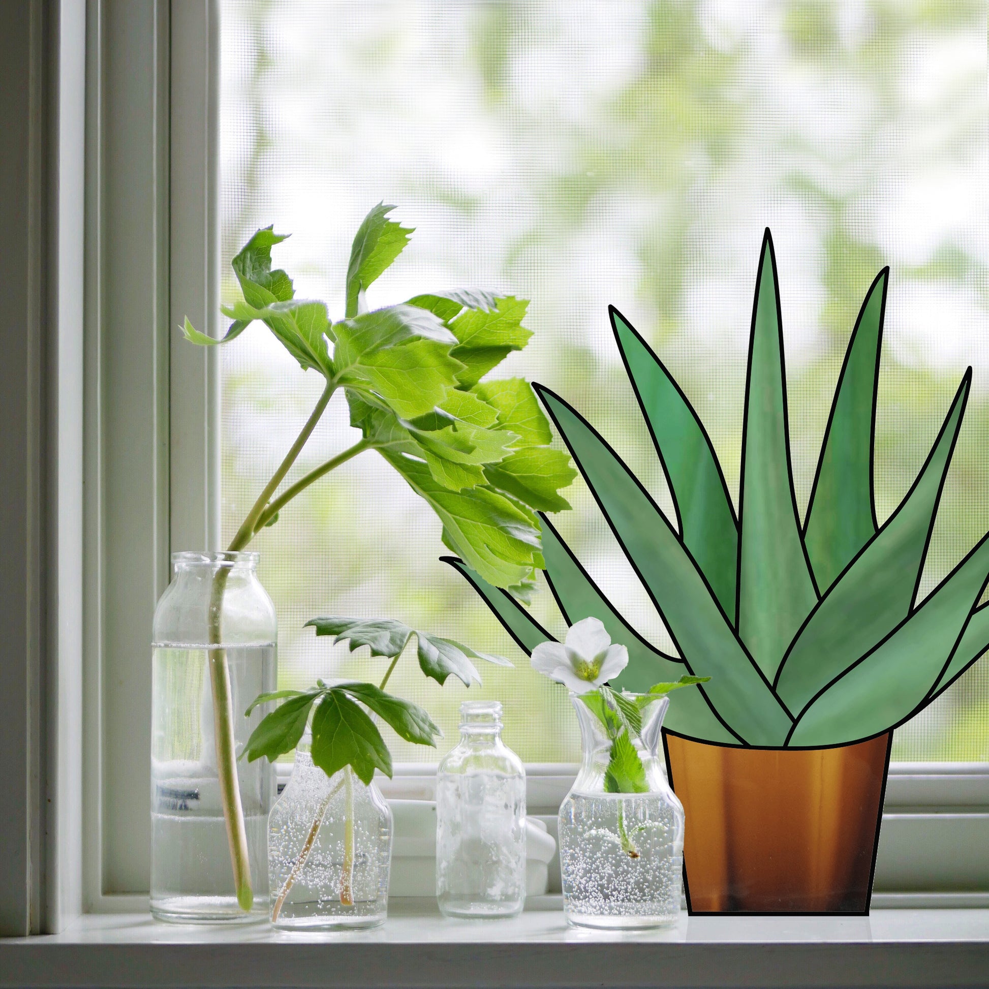 A windowsill displays three glass bottles containing green cuttings and a white flower in water, alongside a Beginner Aloe Potted Plant Stained Glass Pattern flowerpot. A green background is visible through the window.