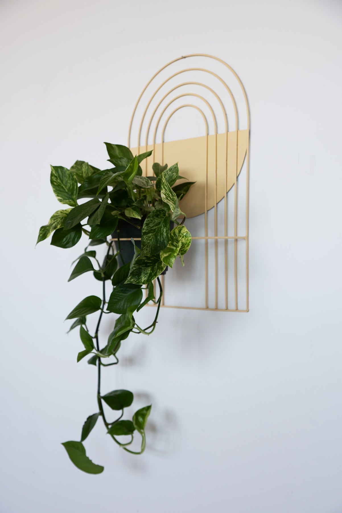 Arches Wall Planter - Wall Planters from WILDEHAUS