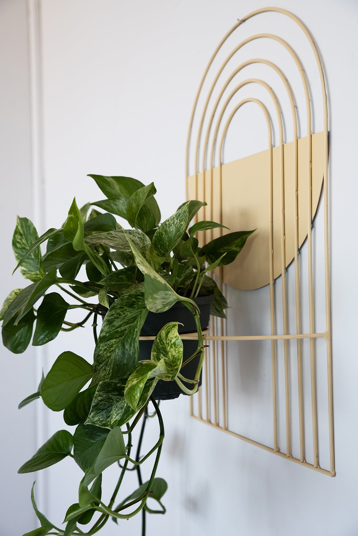 Arches Wall Planter - Wall Planters from WILDEHAUS