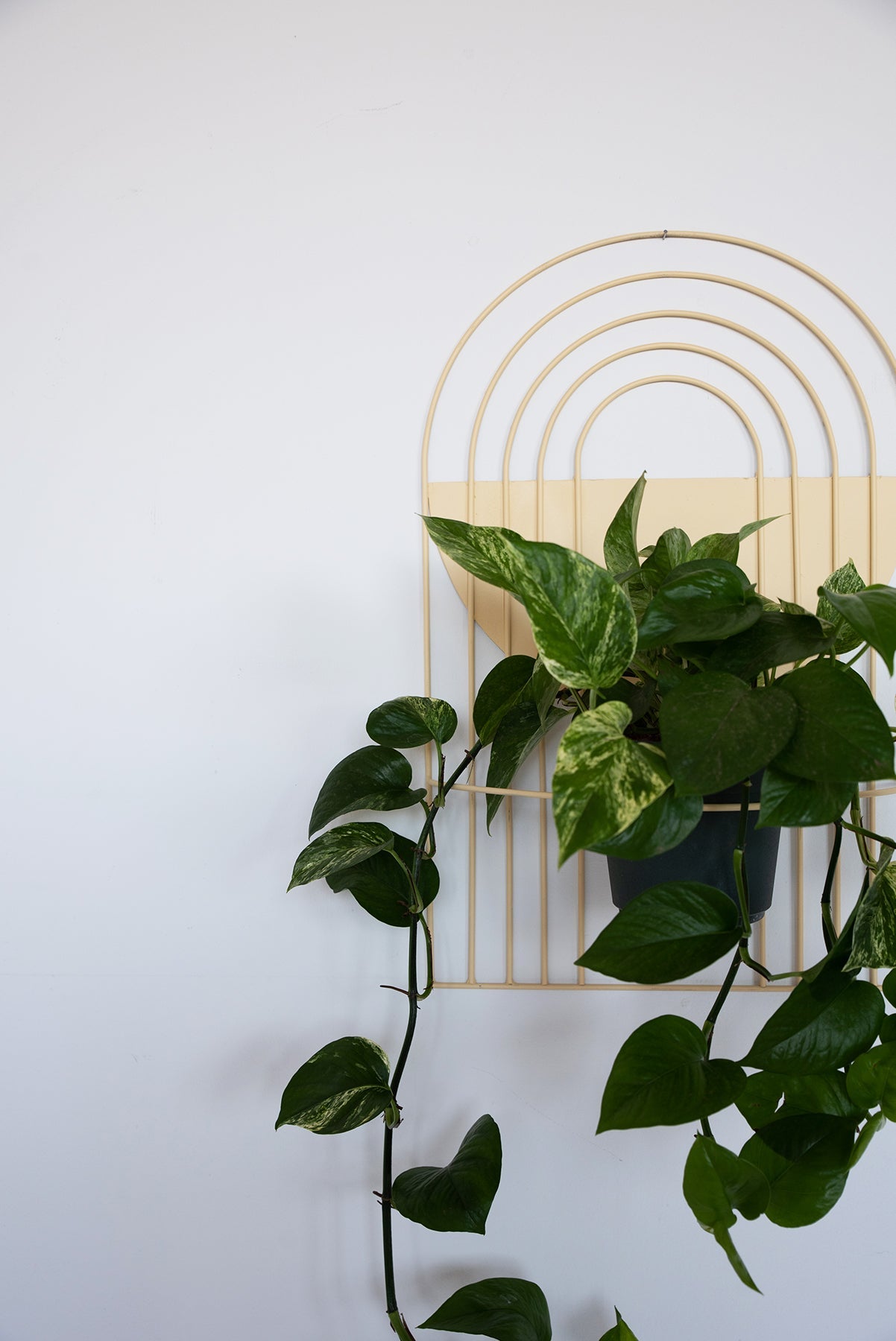 Arches Wall Planter - Wall Planters from WILDEHAUS