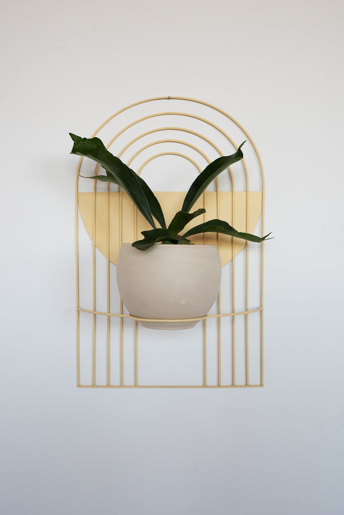 Arches Wall Planter - Wall Planters from WILDEHAUS