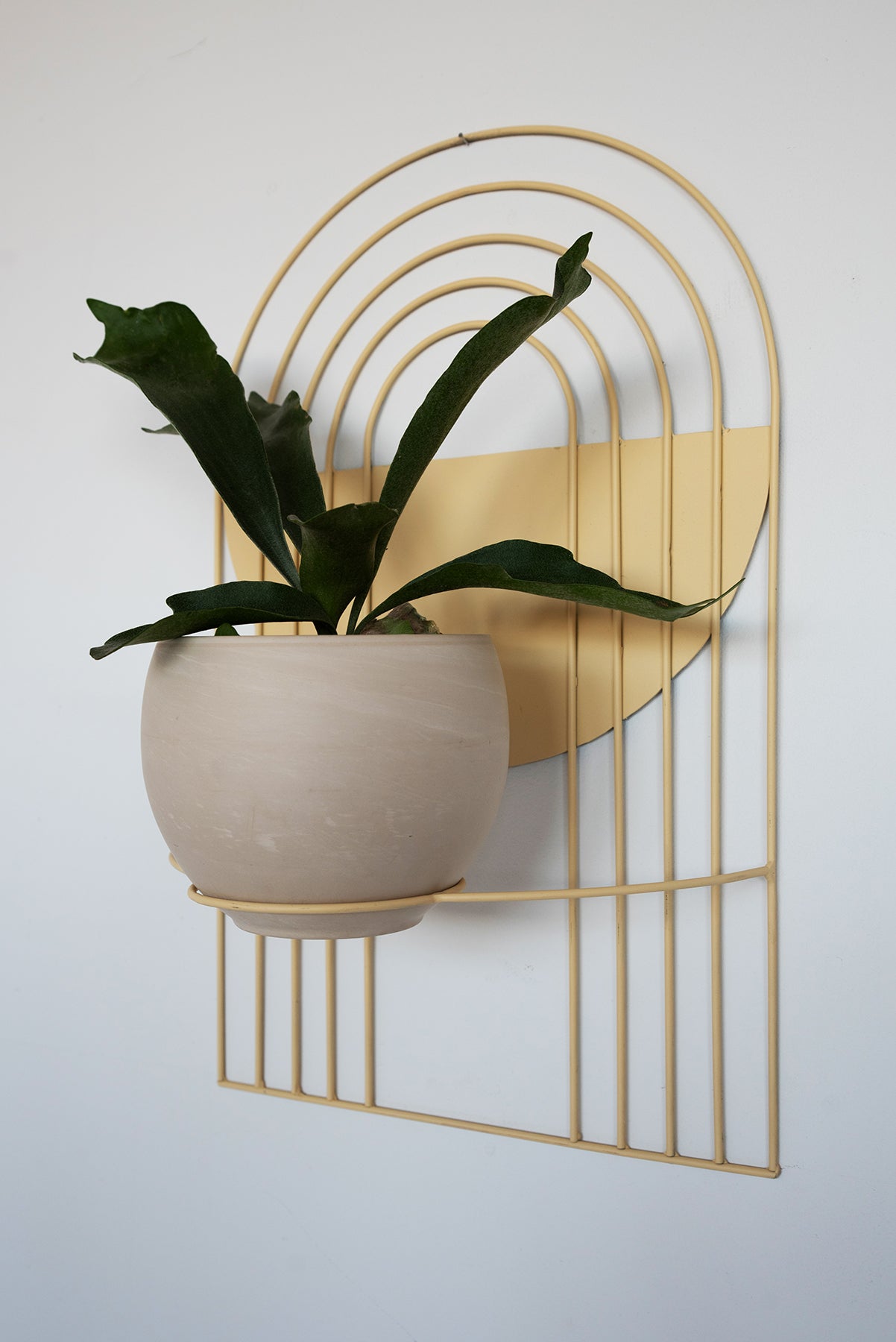 Arches Wall Planter - Wall Planters from WILDEHAUS