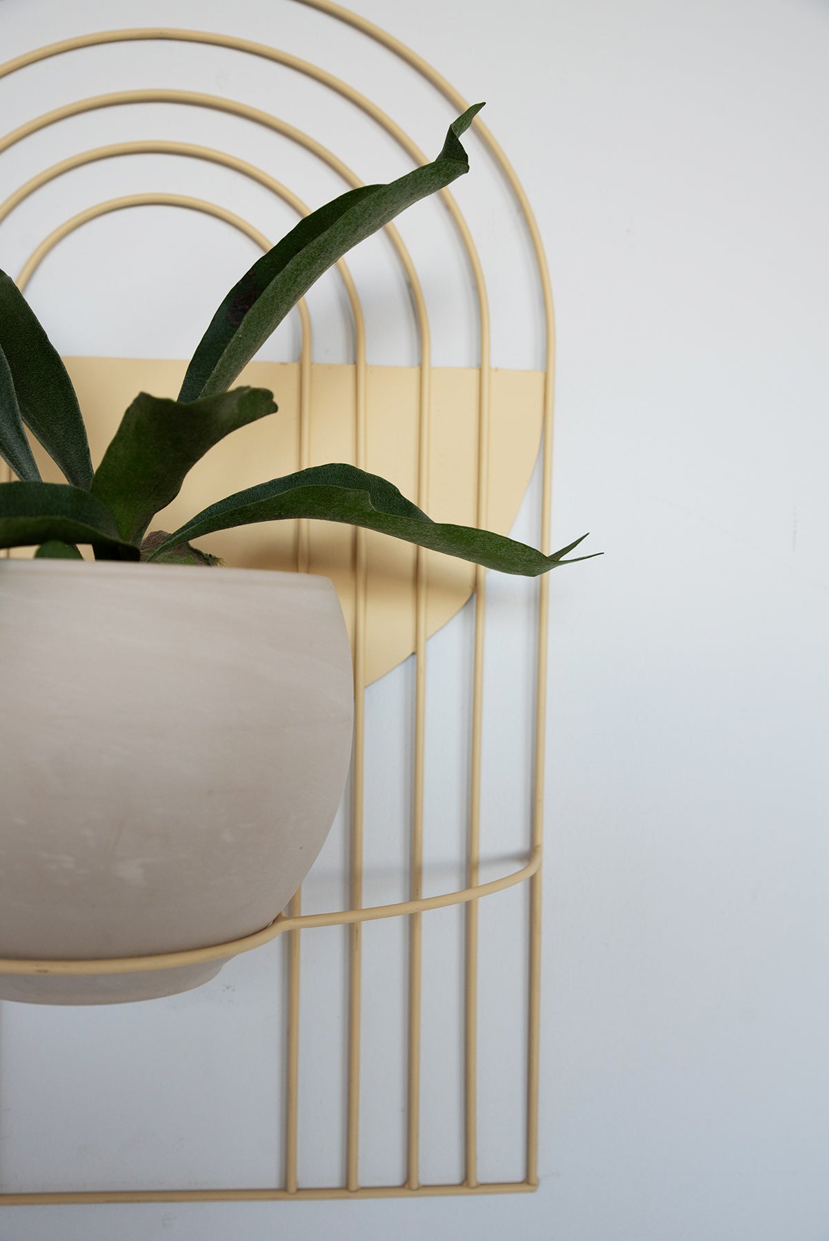 Arches Wall Planter - Wall Planters from WILDEHAUS