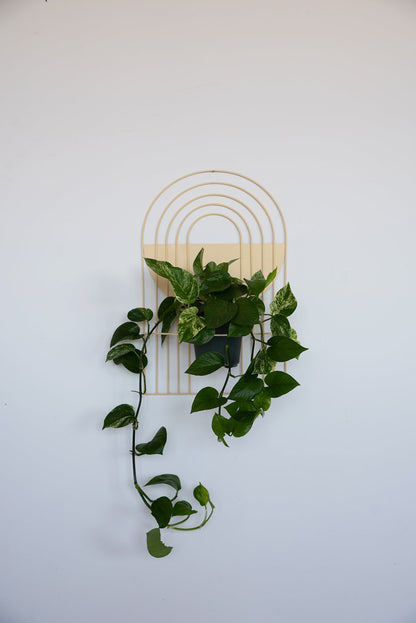 Arches Wall Planter - Wall Planters from WILDEHAUS