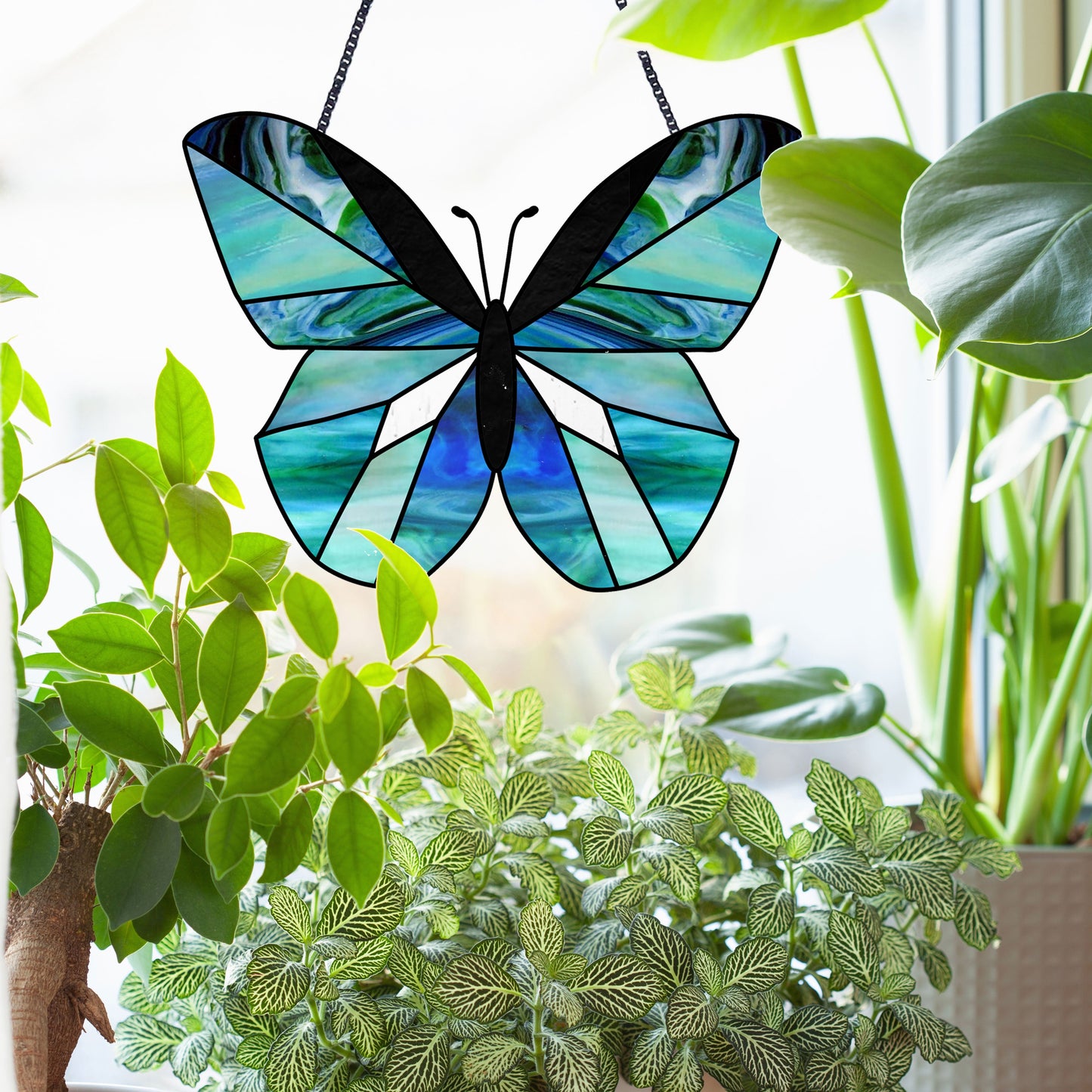 The Beginner Butterfly Stained Glass Pattern, featuring vibrant blues and greens, hangs in a window amidst lush indoor plants. Sunlight enhances the butterflys colors and the plants leaves, creating a captivating display ideal for beginners in stained glass crafting.