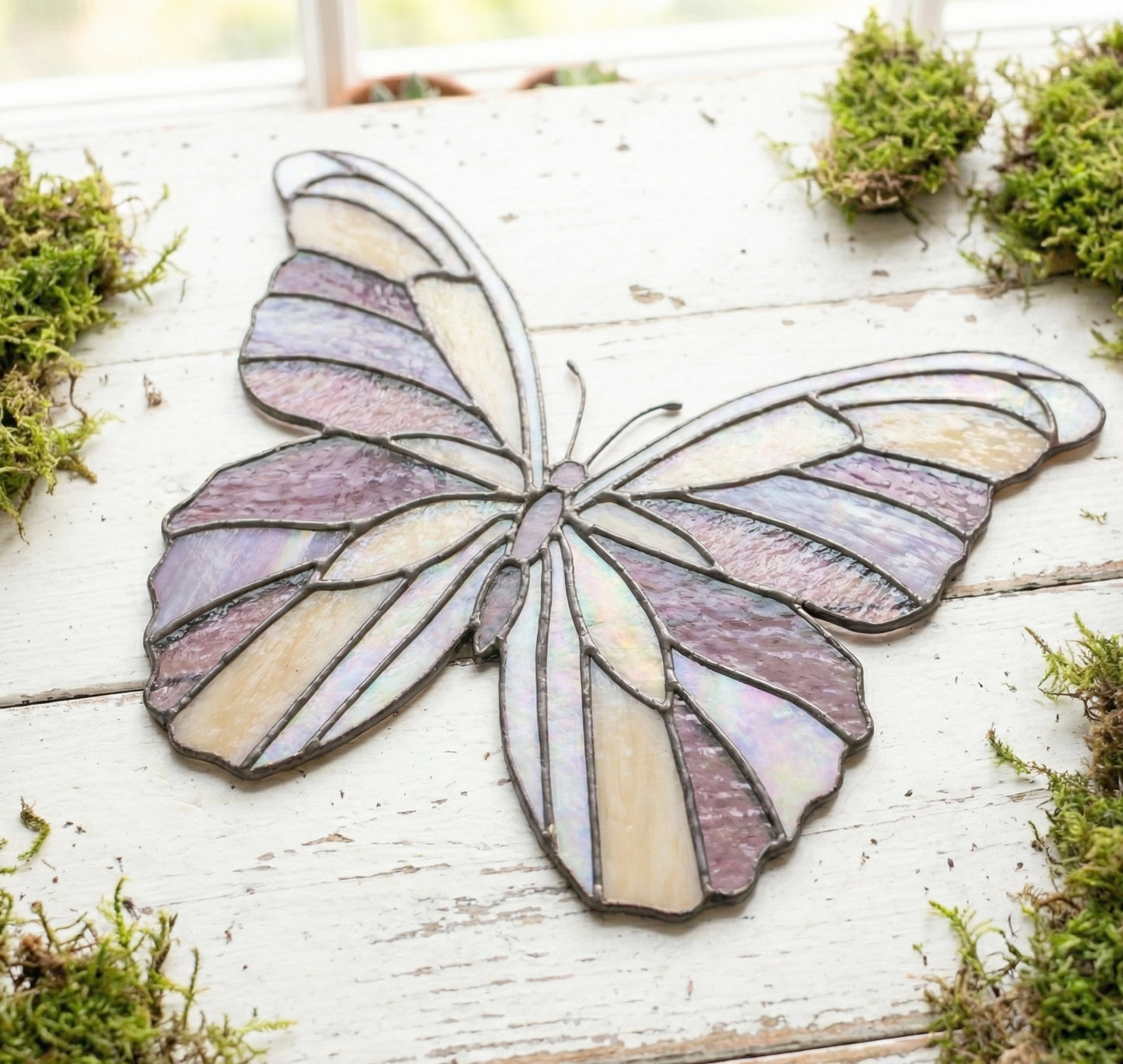 Butterflies Stained Glass Pattern Value Pack of 5