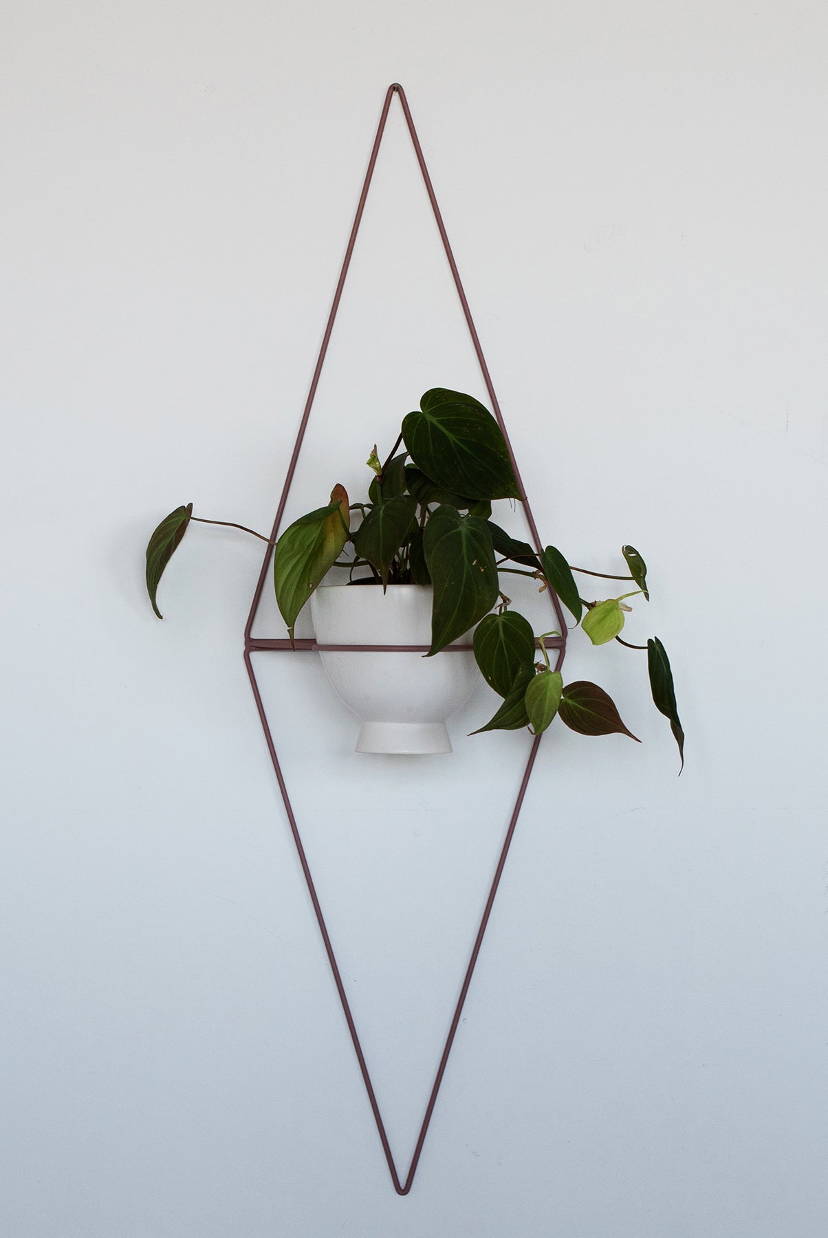 Diamond Eye Wall Planter - Wall Planters from WILDEHAUS