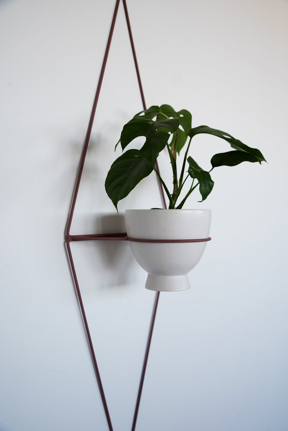 Diamond Eye Wall Planter - Wall Planters from WILDEHAUS