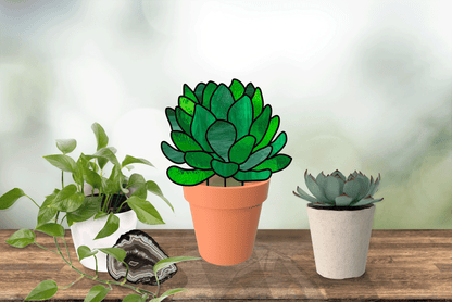 Three potted plants sit on a wooden surface: a leafy vine in a white pot, a central green succulent with stained glass-like stem patterns in terracotta, and a smaller succulent in gray, all against a blurred backdrop.