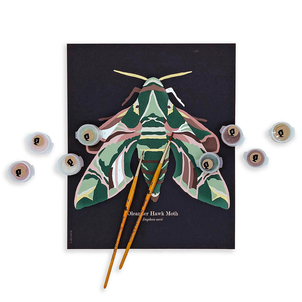 Oleander Hawk Moth | 8x10 paint-by-number kit - Paint-by-Number Kit from Elle Crée