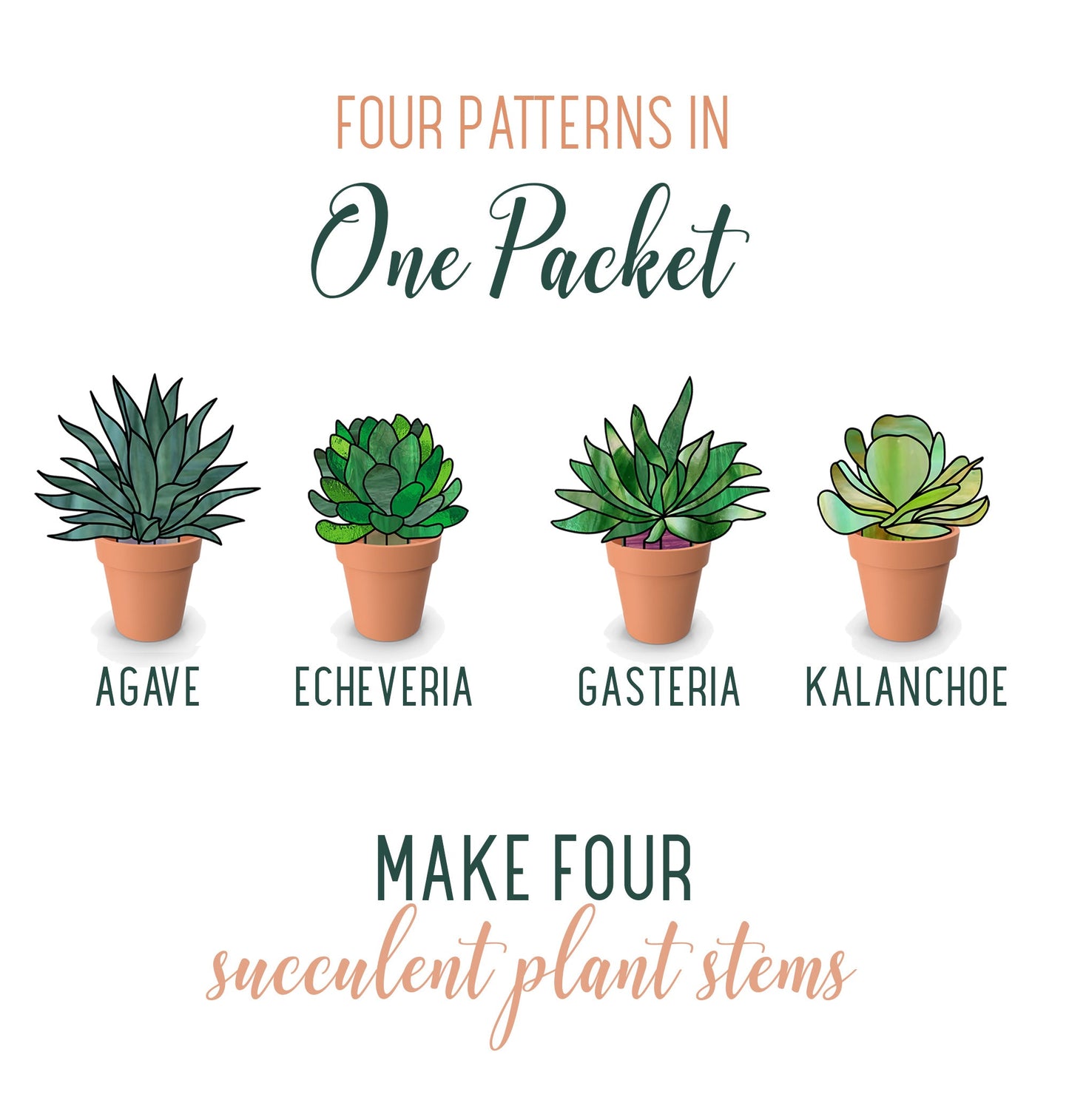 Illustration of four potted succulent plants, labeled Agave, Echeveria, Gasteria, and Kalanchoe. Text reads Stained Glass Succulent Stems Pattern Pack of 4, offering Four digital patterns to create stunning succulent designs.