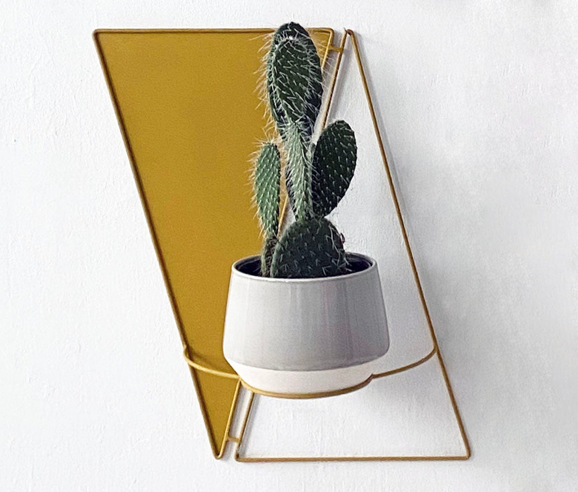 Twins Wall Planter - Wall Planters from WILDEHAUS