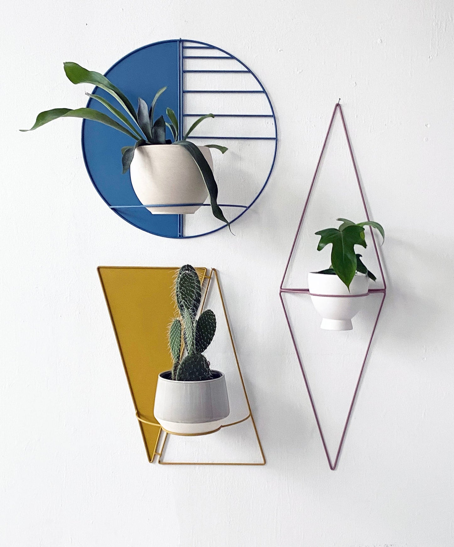 Twins Wall Planter - Wall Planters from WILDEHAUS