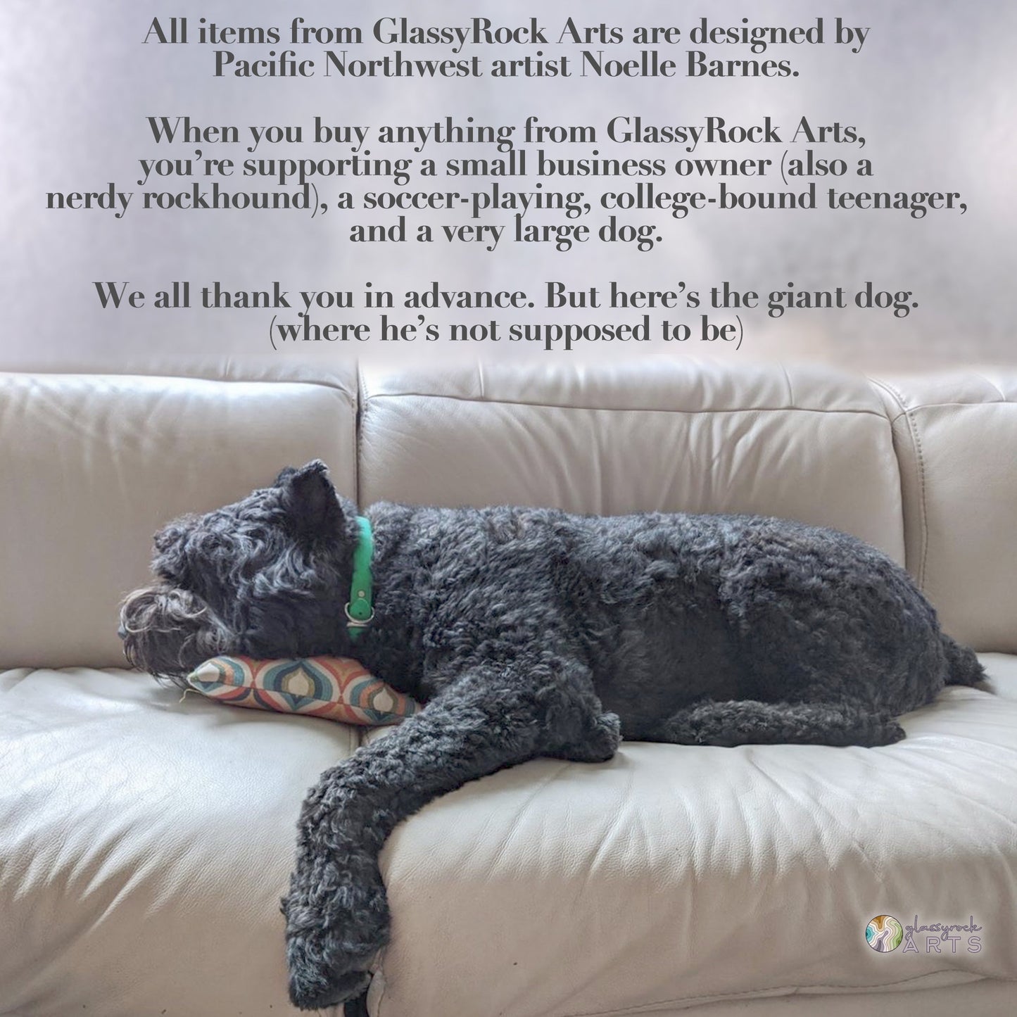 A large black dog lies on a beige couch, resting its head on a colorful pillow featuring the Snake Stained Glass Pattern Rain Drop. Text above encourages supporting a small business. The dog is relaxed and comfortable.