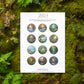 Stained Glass 2024 Calendar, Nature
