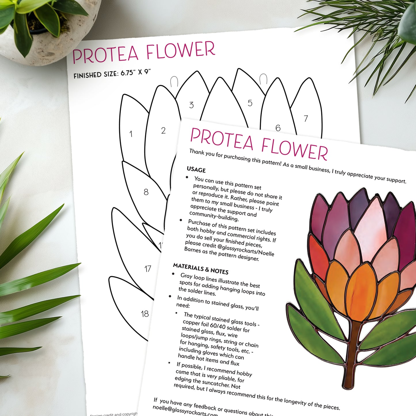 Protea Flower Stained Glass Pattern with PNG