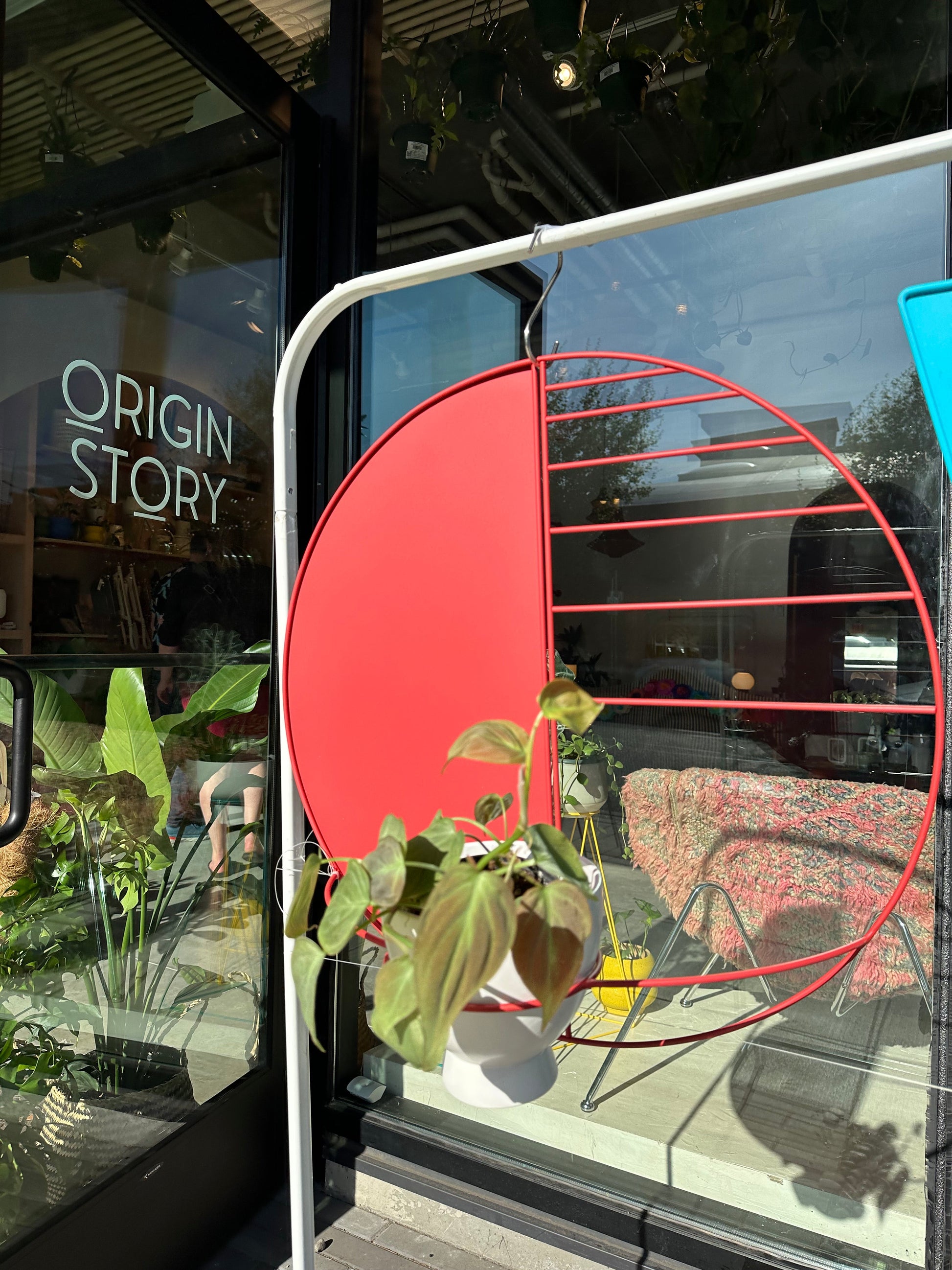 Sunset Circle Wall Planter - Wall Planters from WILDEHAUS