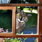 Animal stained glass patterns, horned owl, instant pdf downloads, one of four patterns in the pack, shown in a window