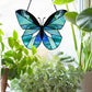 Beginner butterfly stained glass pattern, shown in a window with plants and sun