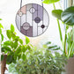 Geometric circular stained glass pattern, instant pdf download, shown in a window with sun and plants
