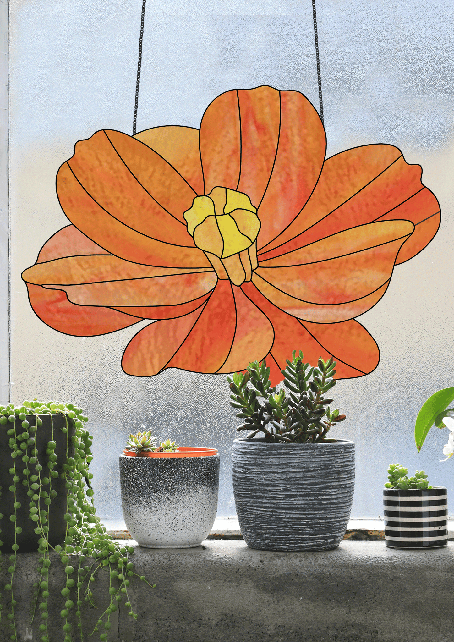 orange cosmos stained glass pattern, instant pdf download, shown hanging in a window with succulents
