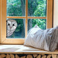 snowy owl stained glass pattern, instant pdf, shown in window with pillow