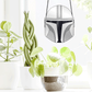 The Mandalorian Star Wars helmet stained glass pattern, instant pdf download, shown in window with plants