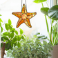 Starfish or seastar stained glass pattern, instant pdf download, shown in window with plants