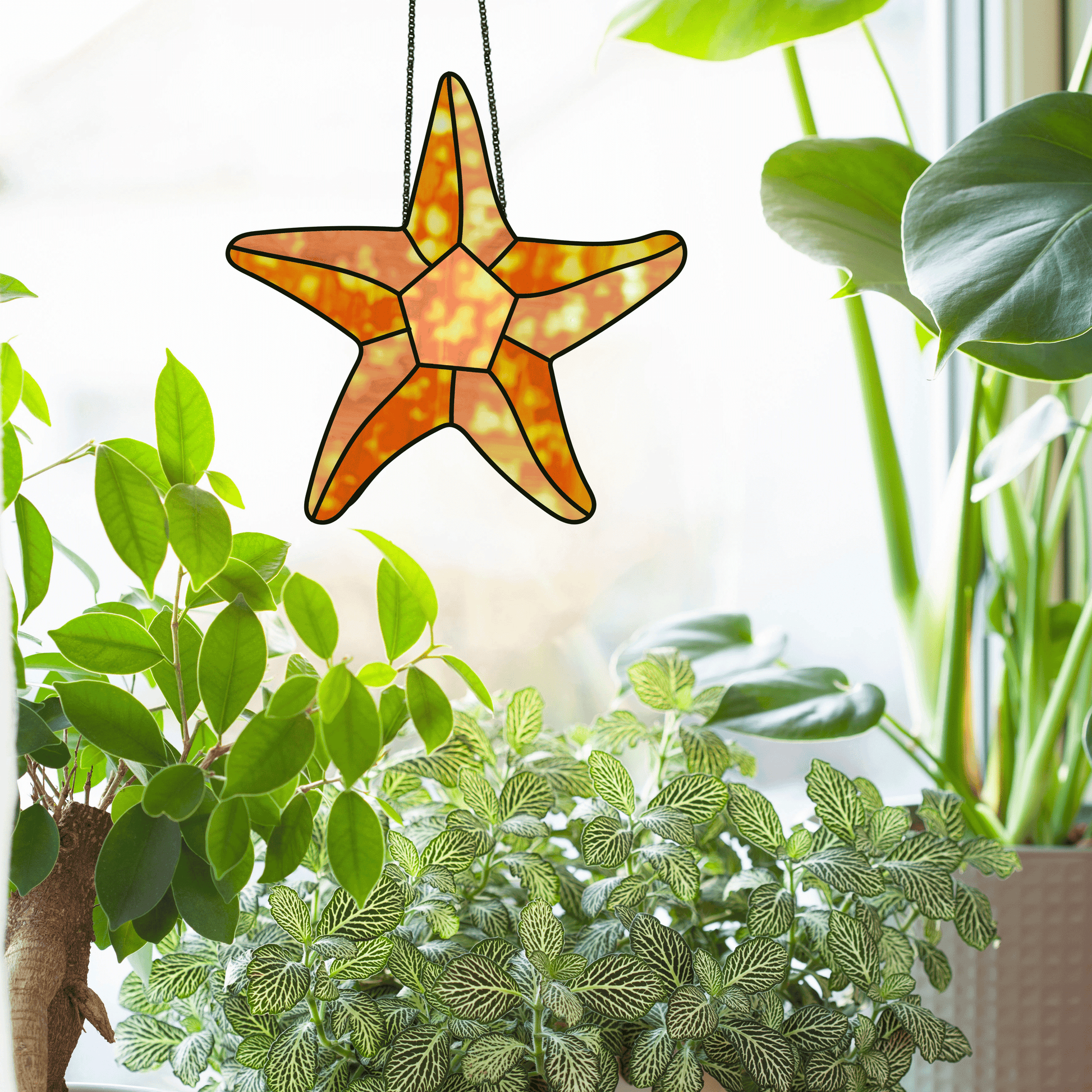 Starfish or seastar stained glass pattern, instant pdf download, shown in window with plants
