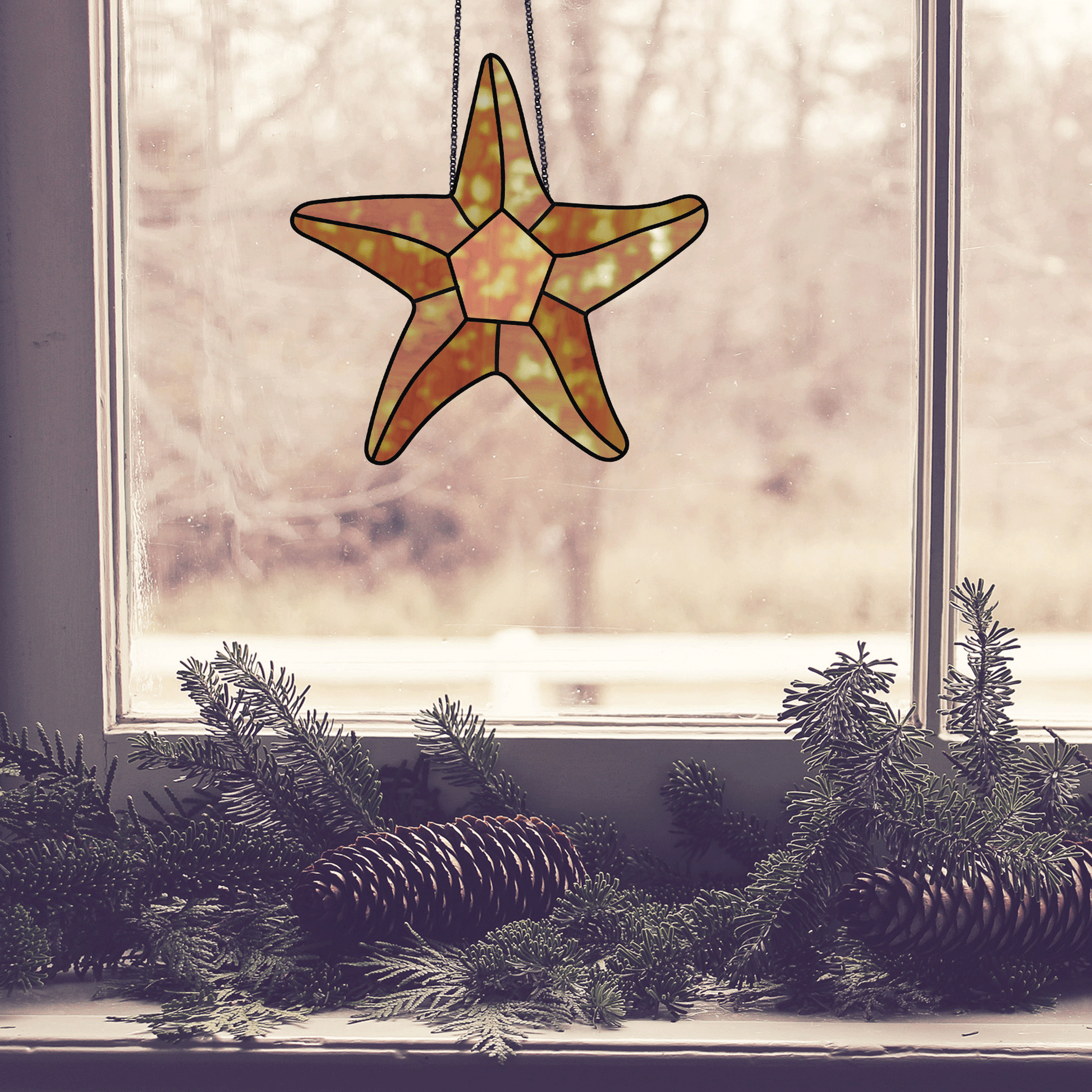 Starfish or seastar stained glass pattern, instant pdf download, shown in window with pine cones