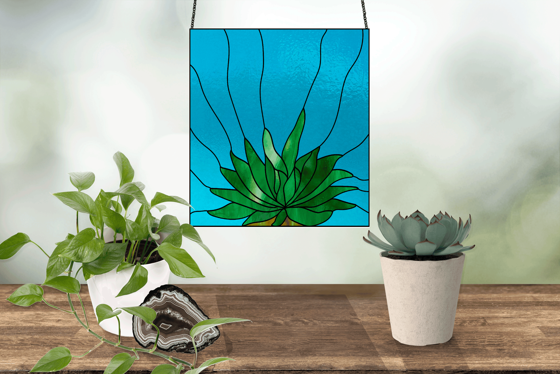 gasteria succulent panel stained glass pattern, instant pdf, shown in window with plants