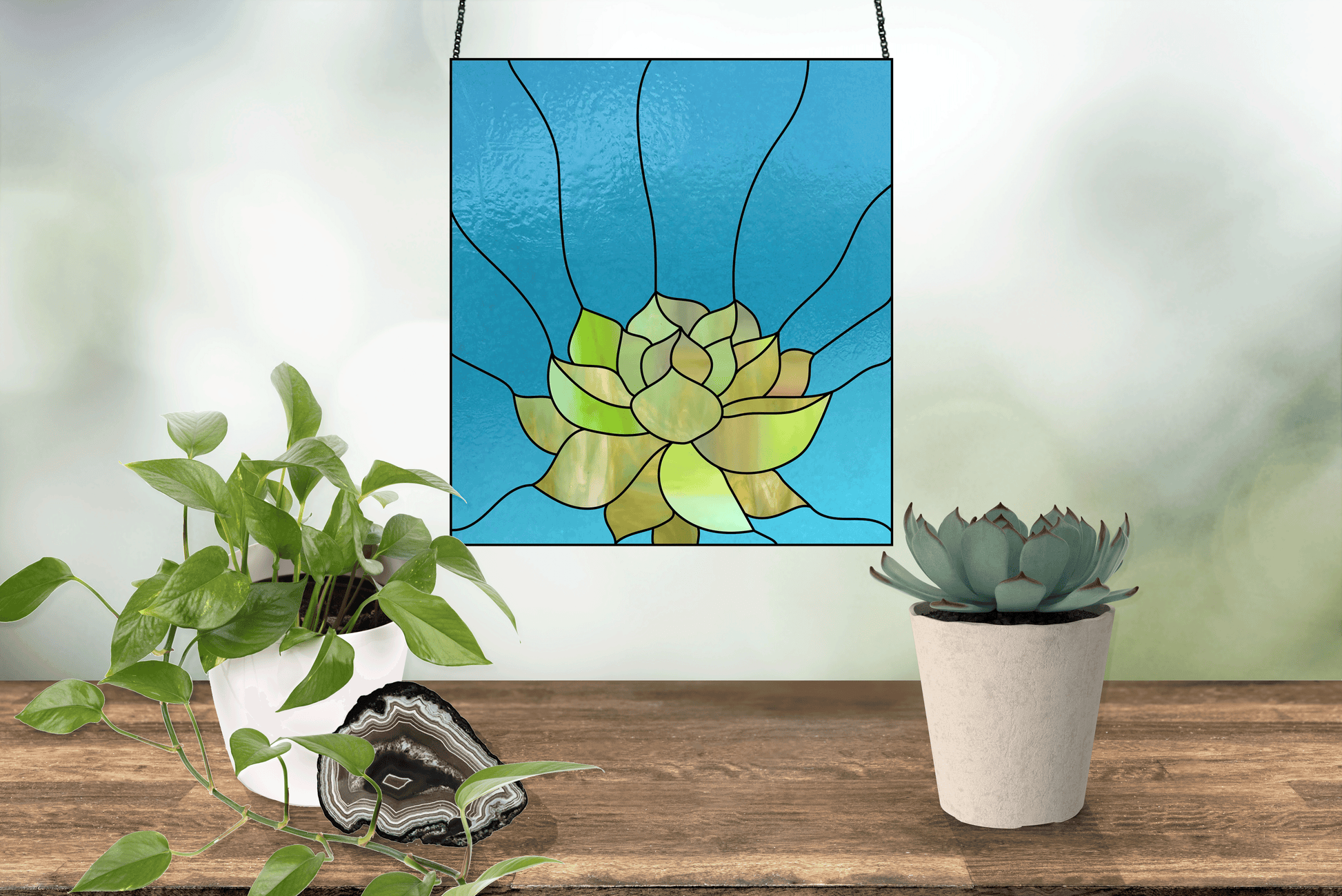 Unique stained glass pattern for an echeveria succulent panel, instant PDF download, shown in a window with plants