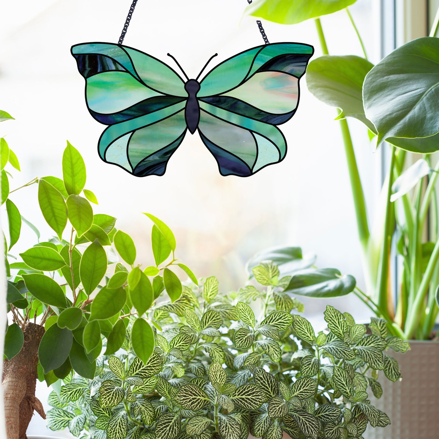 Butterfly stained glass pattern, instant PDF download, shown in bright window with plants