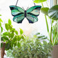 Butterfly stained glass patterns, pack of four, instant download, one butterfly shown in window with plants