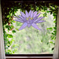 Stained glass pattern for a giant purple water lily flower, instant PDF download, shown hanging in a window with ivy